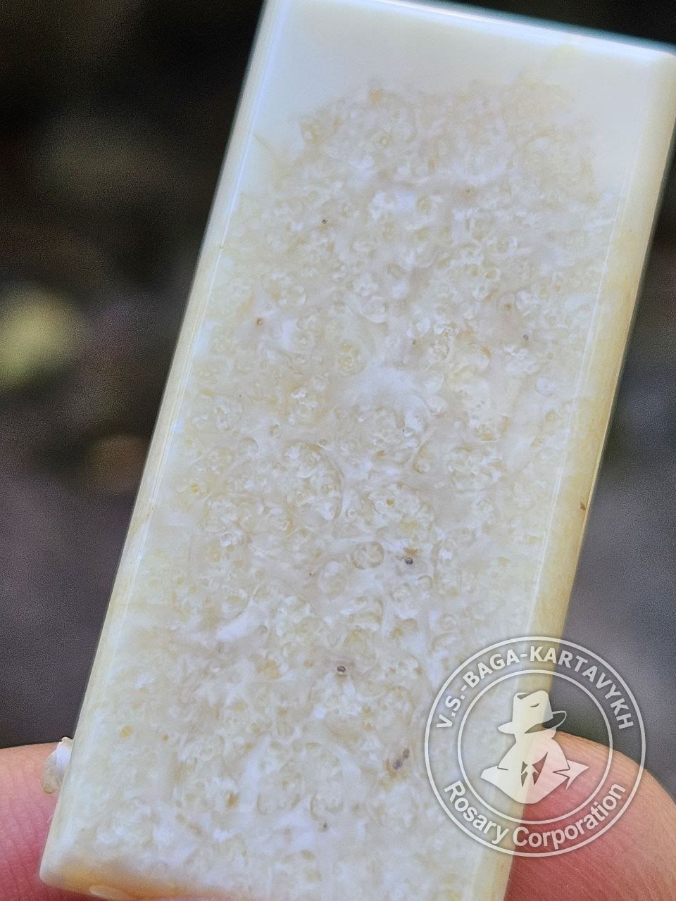 Cushions worry beads — walrus tusk, no. 229 — 4