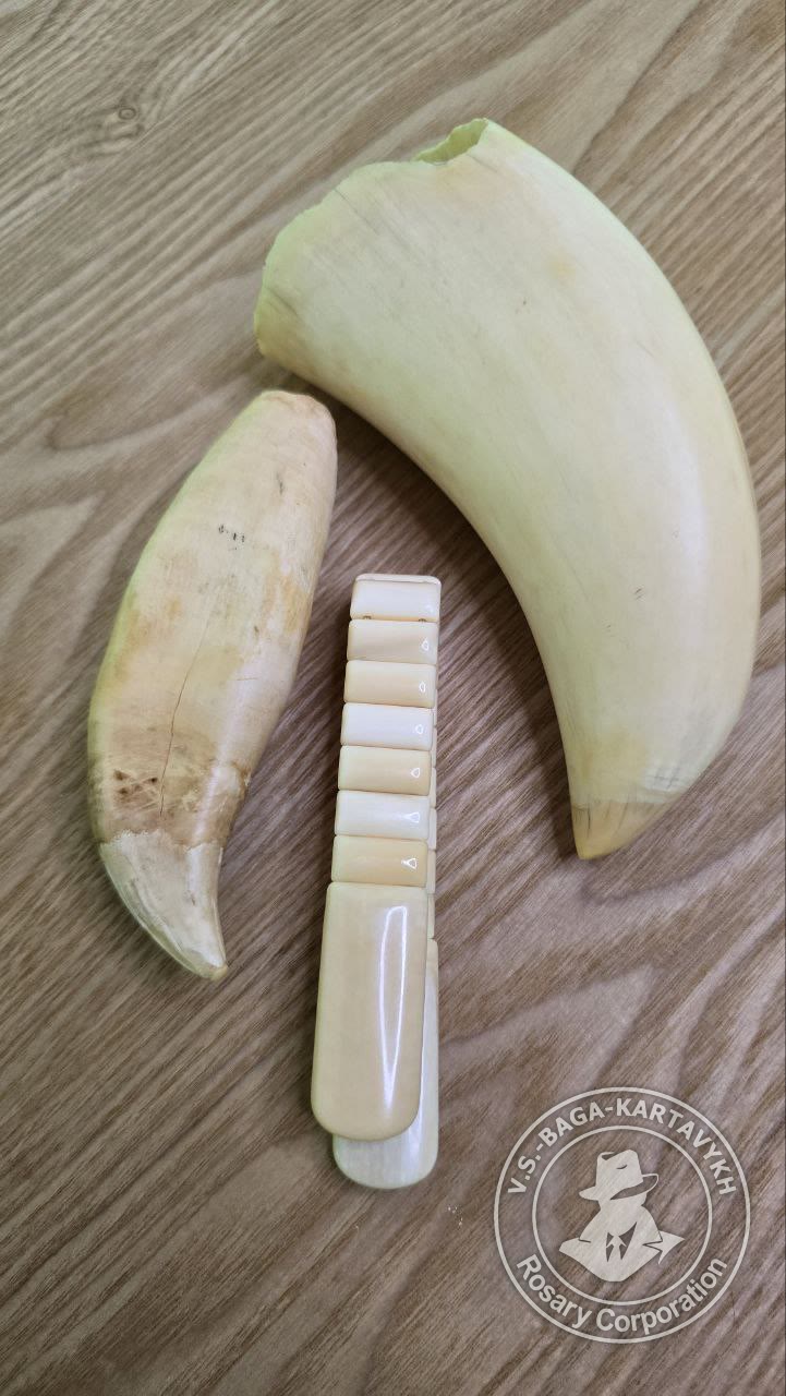 Cushions worry beads — sperm whale tooth, no. 606 — 7